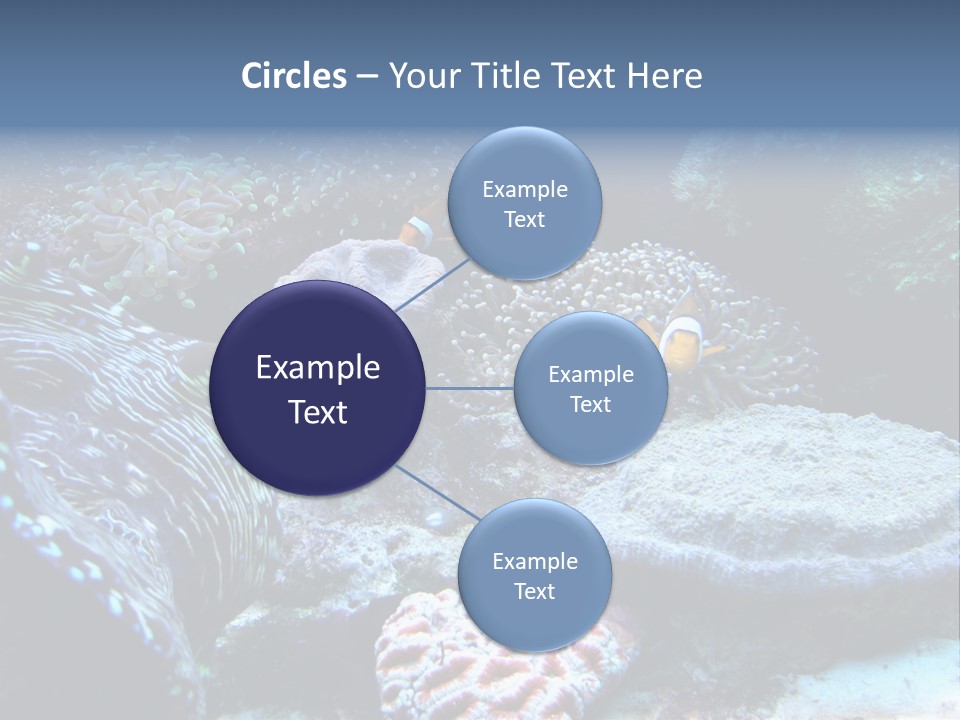 Rock Aquatic Coral PowerPoint Template