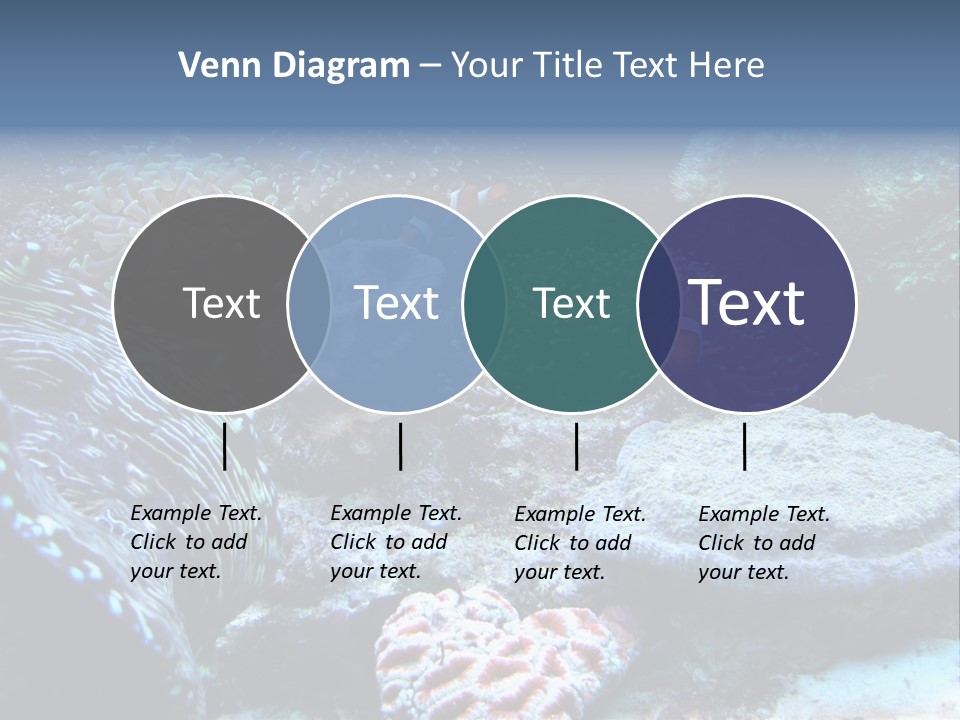 Rock Aquatic Coral PowerPoint Template