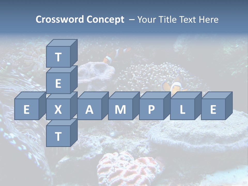 Rock Aquatic Coral PowerPoint Template