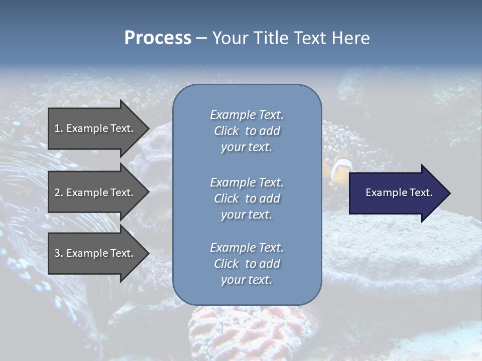 Rock Aquatic Coral PowerPoint Template