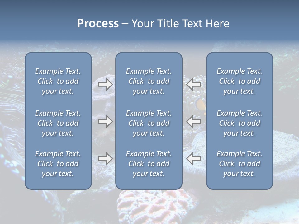 Rock Aquatic Coral PowerPoint Template