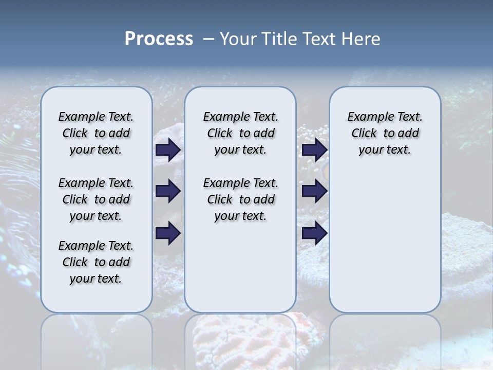 Rock Aquatic Coral PowerPoint Template