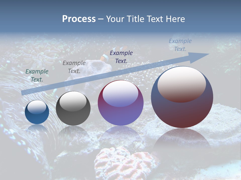 Rock Aquatic Coral PowerPoint Template