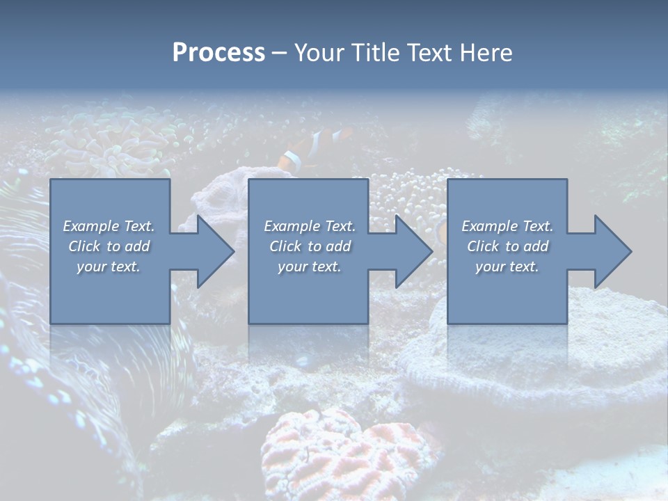 Rock Aquatic Coral PowerPoint Template