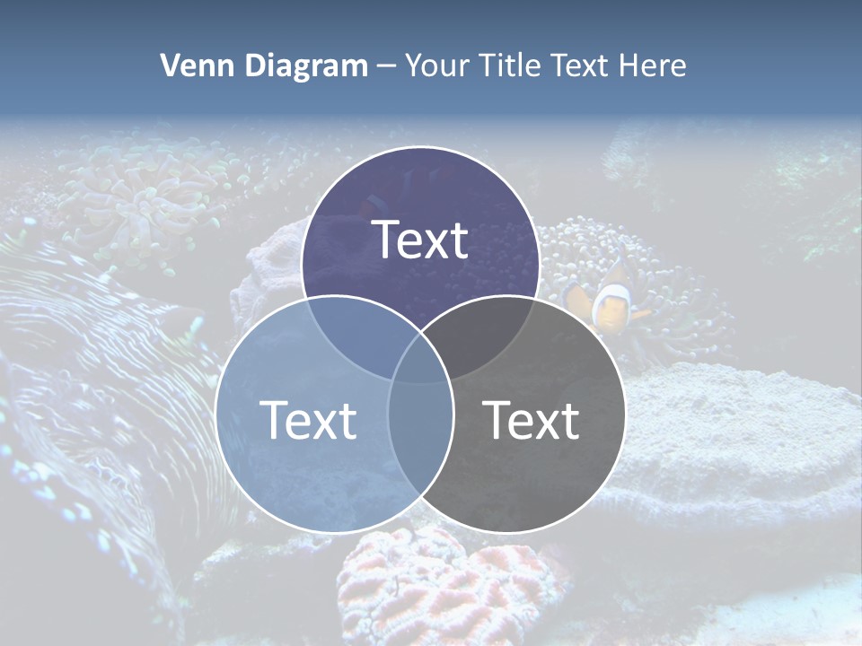 Rock Aquatic Coral PowerPoint Template