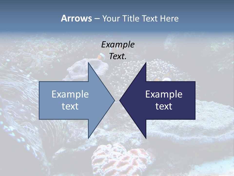 Rock Aquatic Coral PowerPoint Template