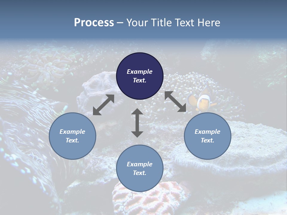 Rock Aquatic Coral PowerPoint Template