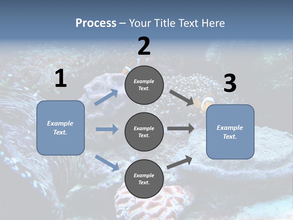 Rock Aquatic Coral PowerPoint Template