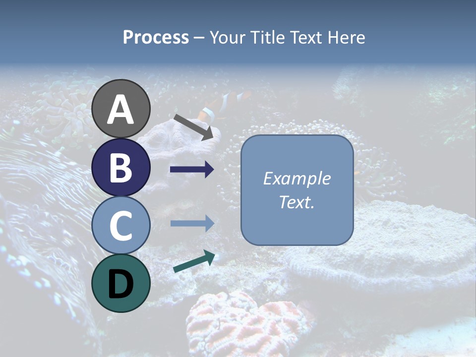 Rock Aquatic Coral PowerPoint Template