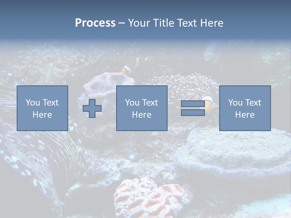 Rock Aquatic Coral PowerPoint Template