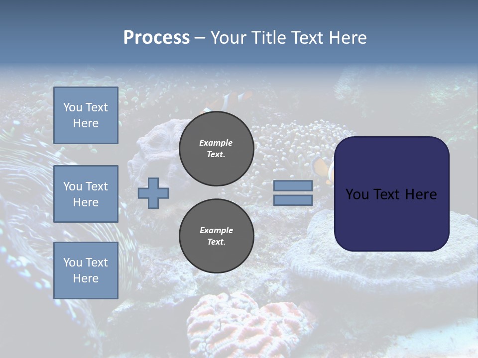Rock Aquatic Coral PowerPoint Template