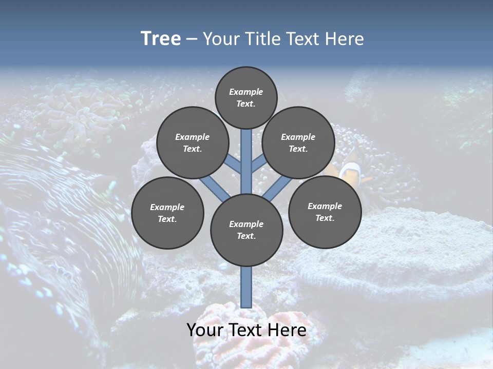 Rock Aquatic Coral PowerPoint Template