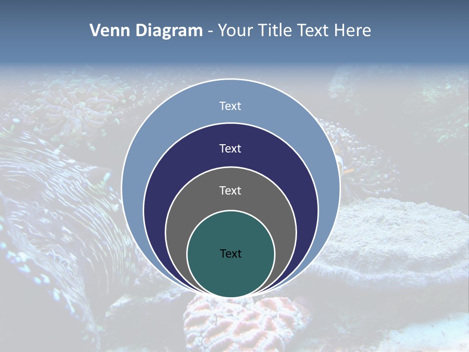 Rock Aquatic Coral PowerPoint Template