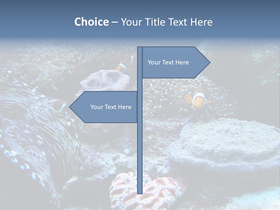 Rock Aquatic Coral PowerPoint Template
