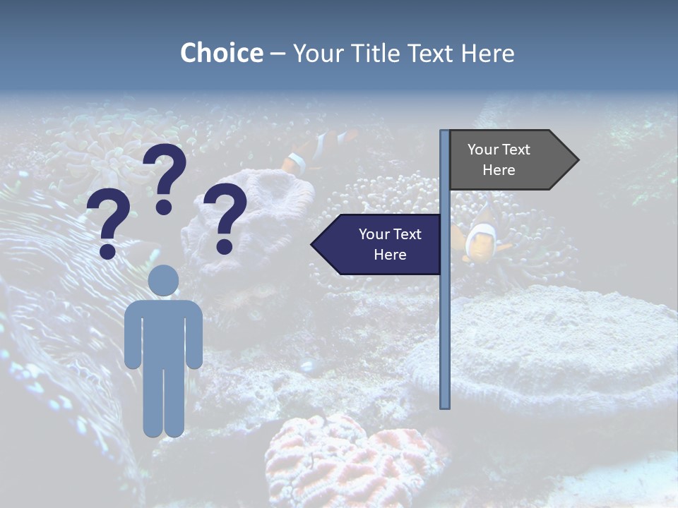 Rock Aquatic Coral PowerPoint Template