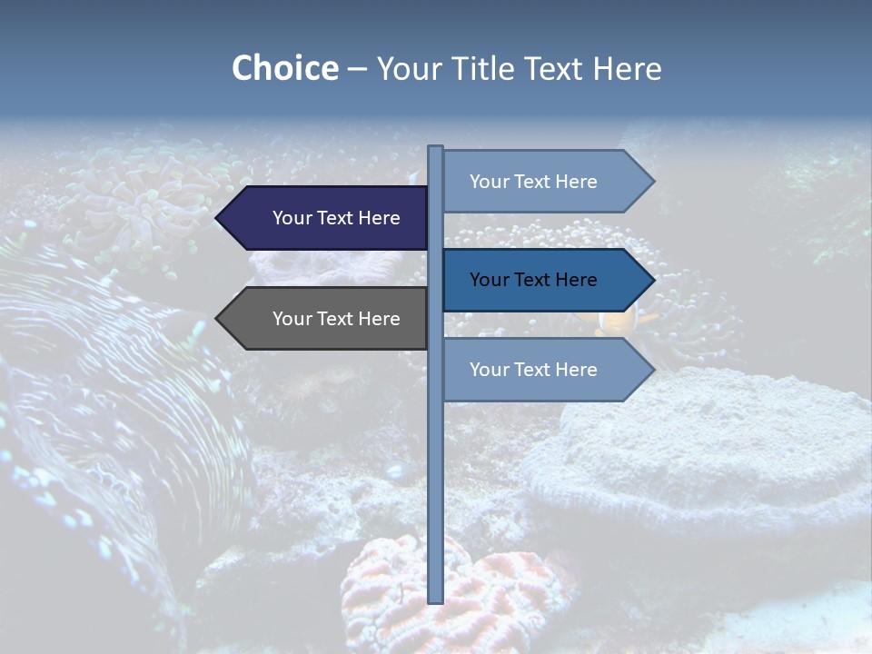 Rock Aquatic Coral PowerPoint Template