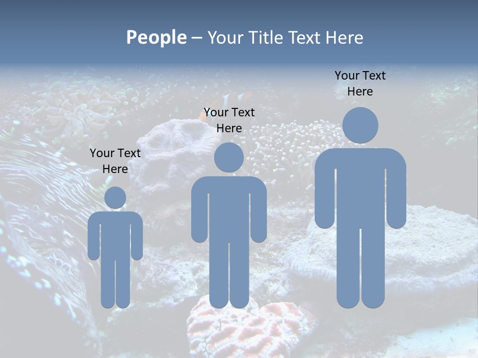 Rock Aquatic Coral PowerPoint Template