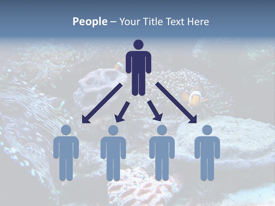 Rock Aquatic Coral PowerPoint Template