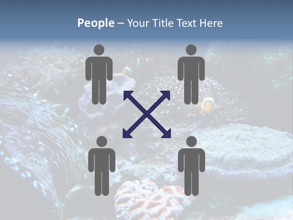 Rock Aquatic Coral PowerPoint Template