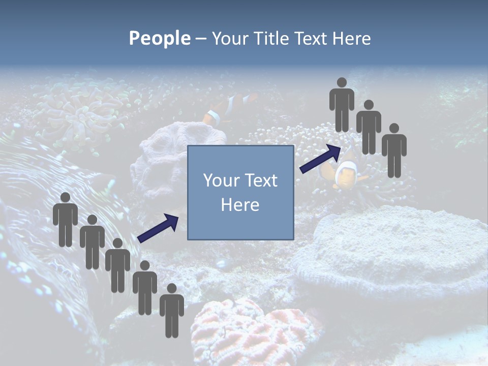 Rock Aquatic Coral PowerPoint Template