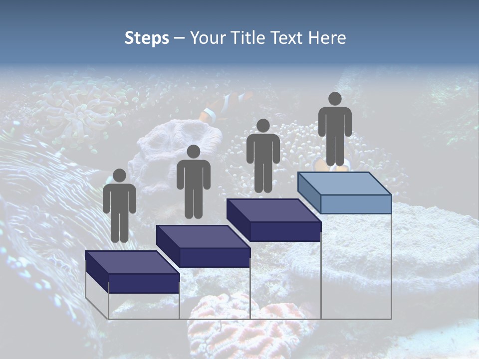 Rock Aquatic Coral PowerPoint Template