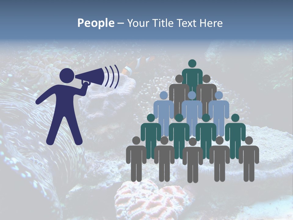 Rock Aquatic Coral PowerPoint Template