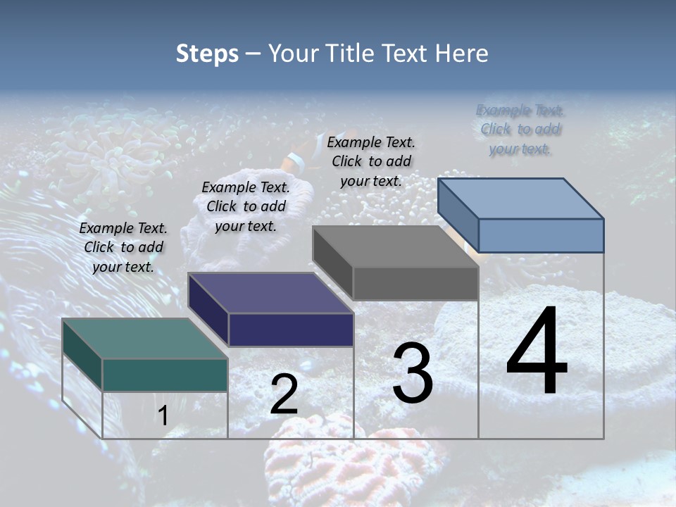 Rock Aquatic Coral PowerPoint Template
