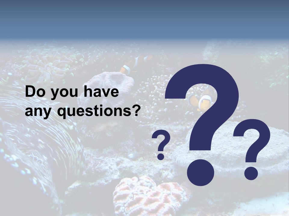 Rock Aquatic Coral PowerPoint Template