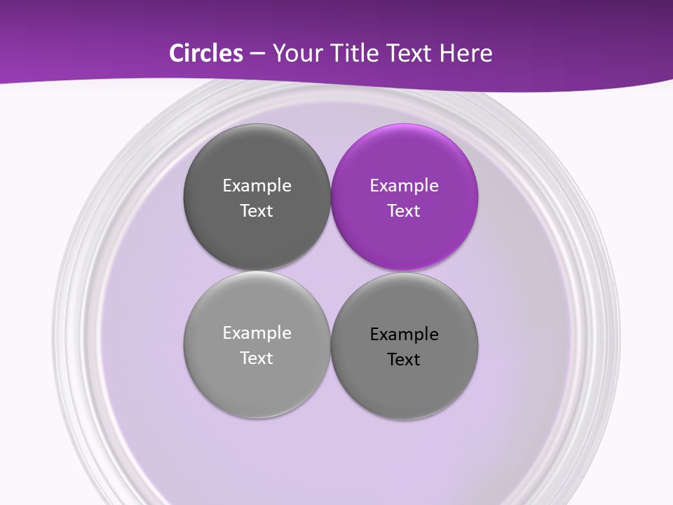 Still Concept Silver PowerPoint Template