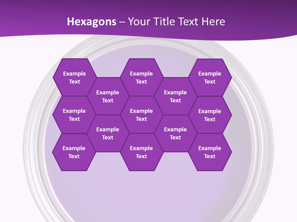 Still Concept Silver PowerPoint Template