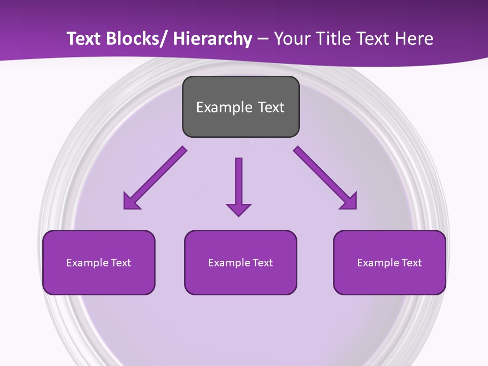 Still Concept Silver PowerPoint Template