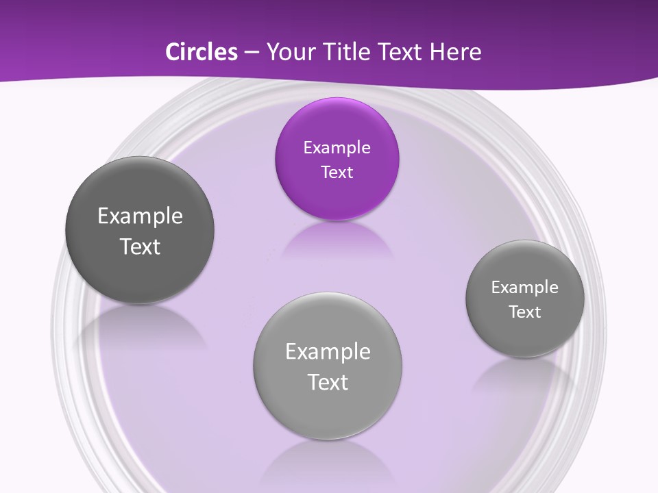 Still Concept Silver PowerPoint Template