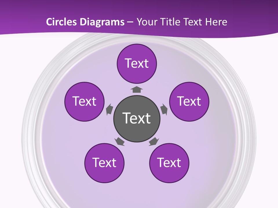 Still Concept Silver PowerPoint Template