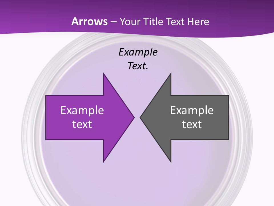 Still Concept Silver PowerPoint Template