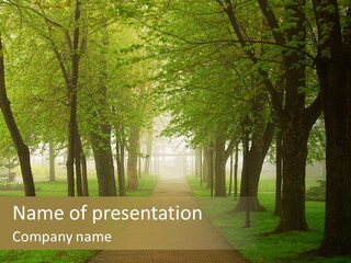 Journey Forest Landscape PowerPoint Template