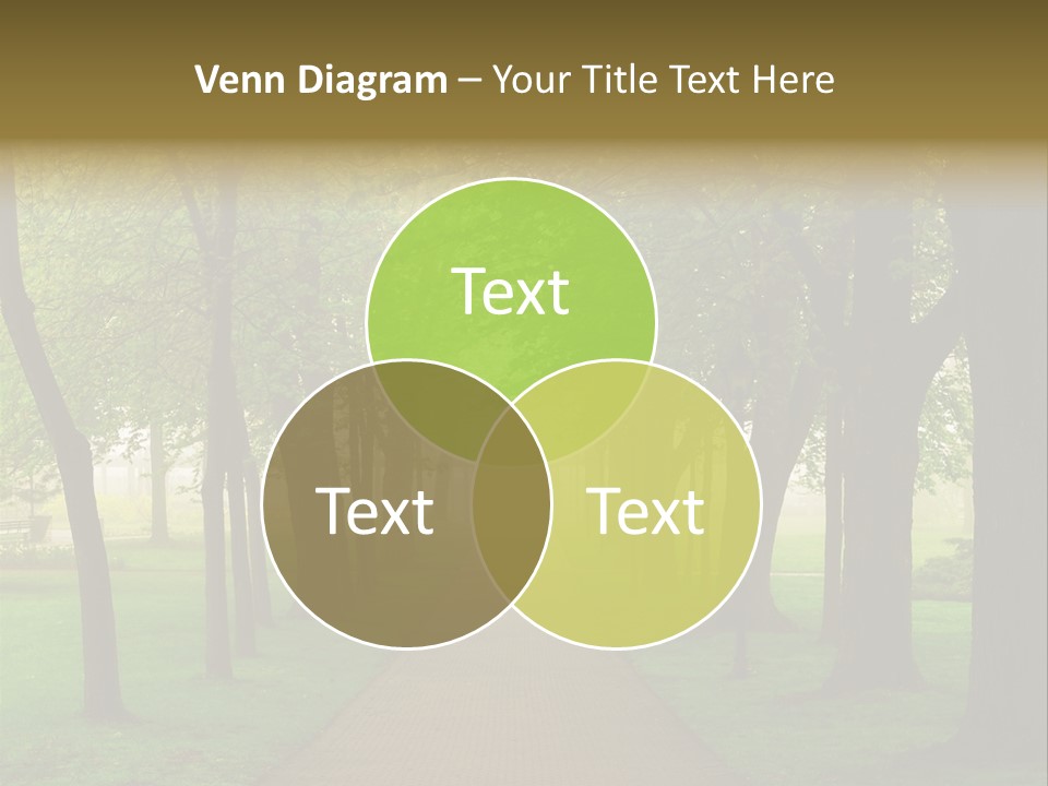 Journey Forest Landscape PowerPoint Template