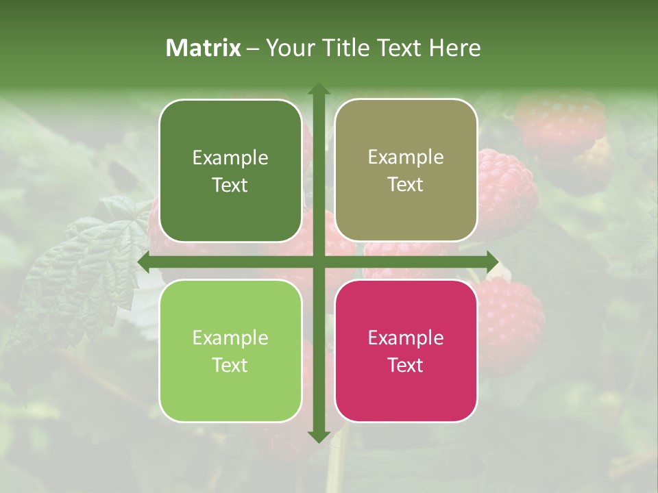 People American Fashion PowerPoint Template