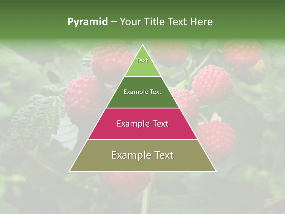 People American Fashion PowerPoint Template