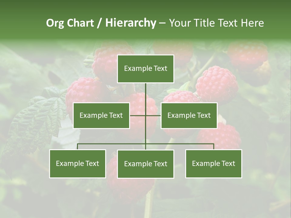 People American Fashion PowerPoint Template