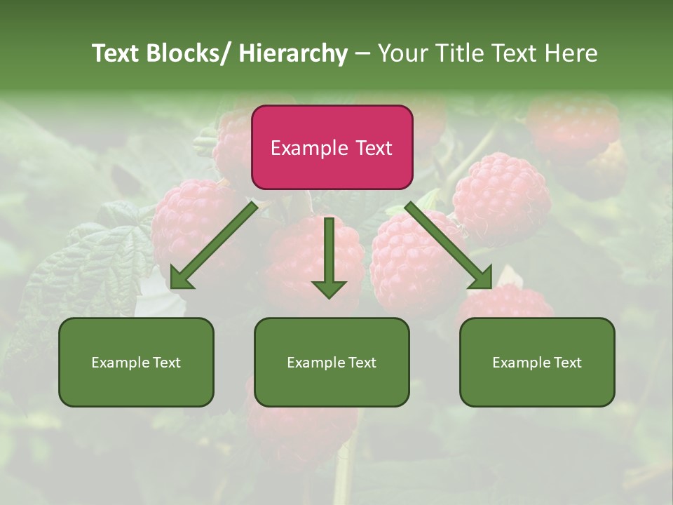 People American Fashion PowerPoint Template