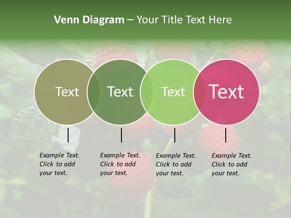 People American Fashion PowerPoint Template