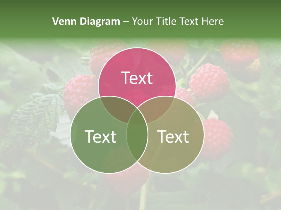 People American Fashion PowerPoint Template