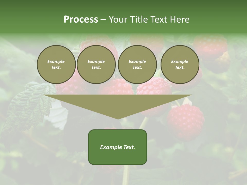 People American Fashion PowerPoint Template