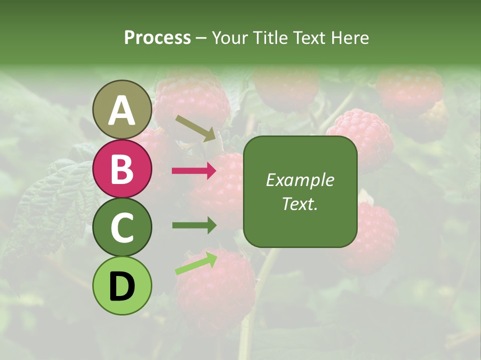 People American Fashion PowerPoint Template