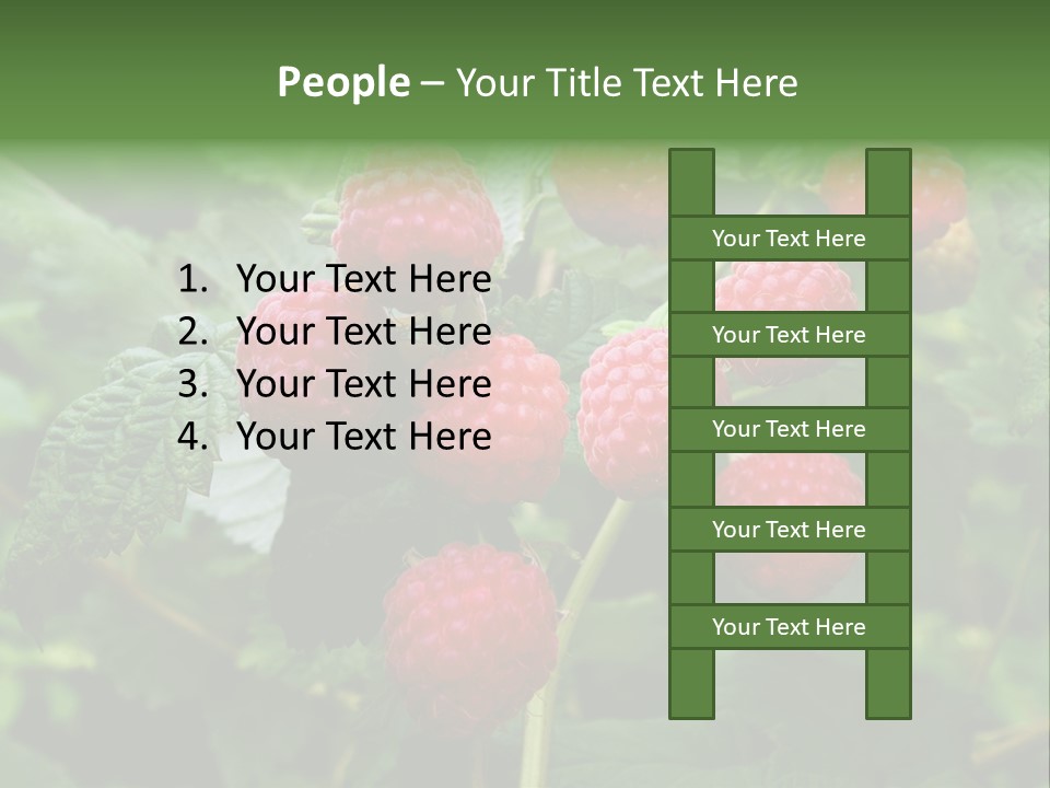 People American Fashion PowerPoint Template