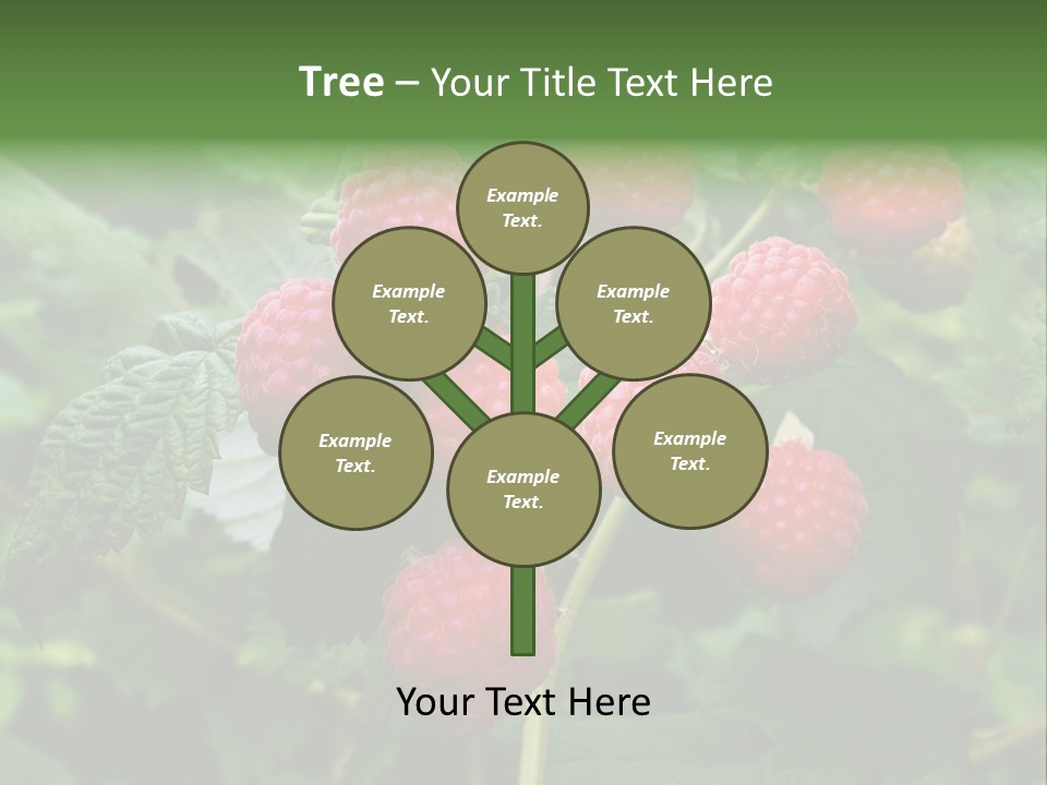 People American Fashion PowerPoint Template