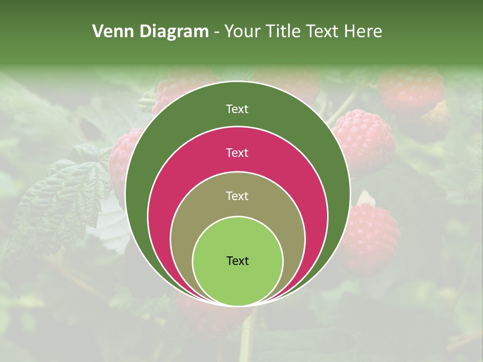 People American Fashion PowerPoint Template