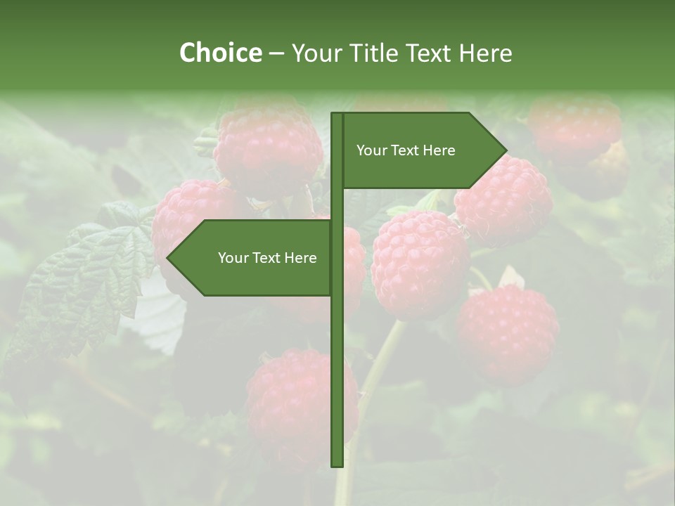 People American Fashion PowerPoint Template