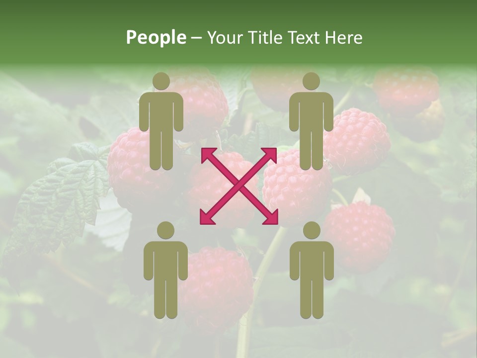 People American Fashion PowerPoint Template