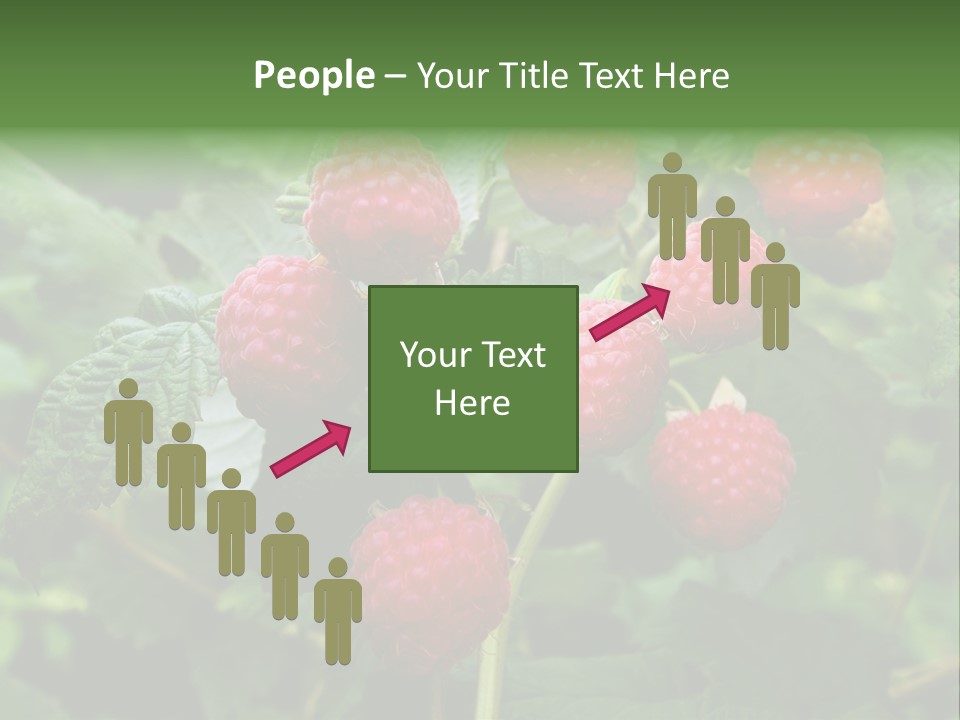 People American Fashion PowerPoint Template